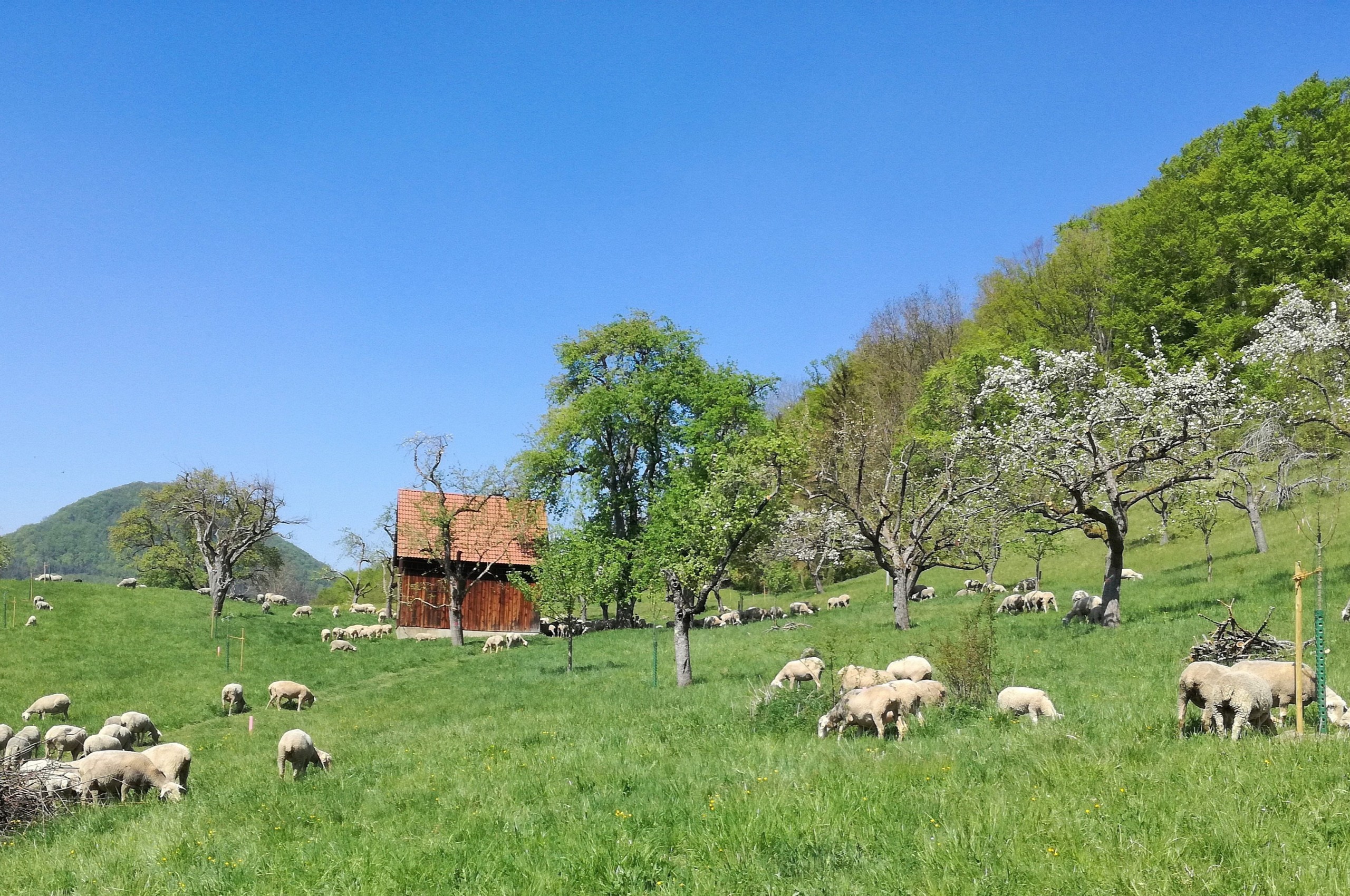 Naturerfahrung fördern